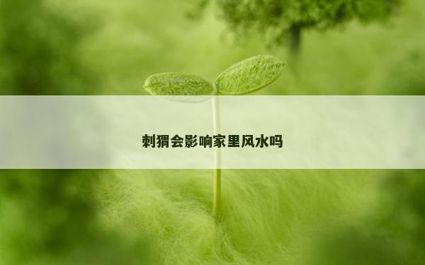 刺猬會影響家里風水嗎