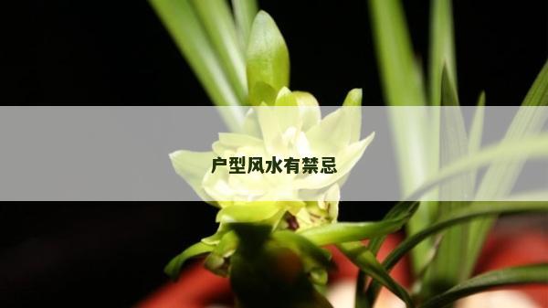 戶型風水有禁忌