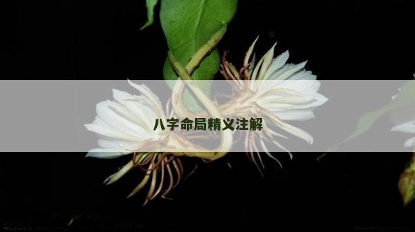 八字命局精義注解