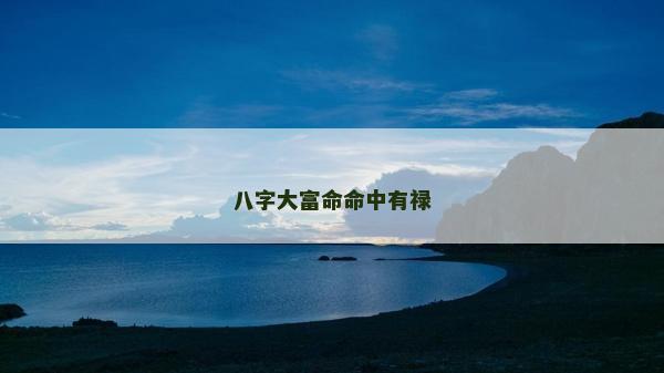 八字大富命命中有祿
