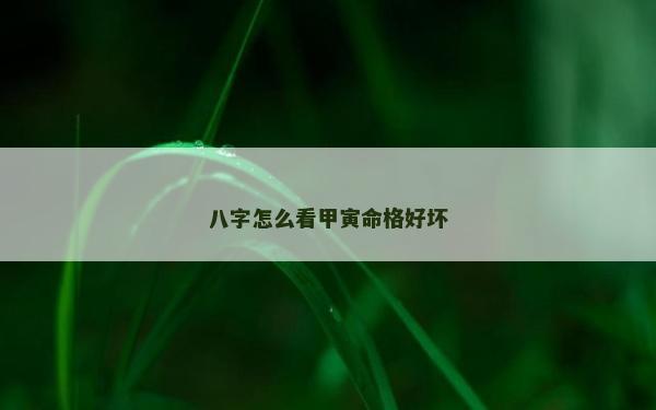 八字怎么看甲寅命格好壞