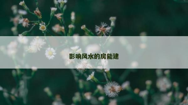 影響風水的房能建