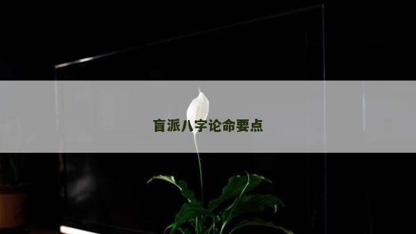 盲派八字論命要點(diǎn)