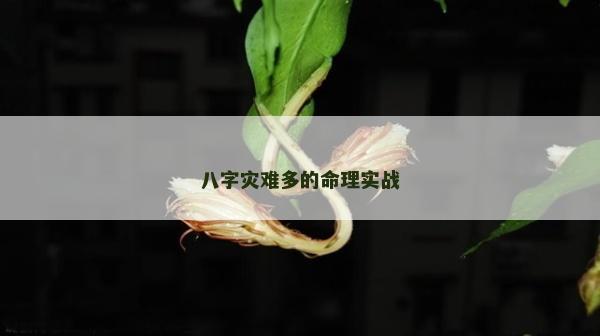 八字災(zāi)難多的命理實戰(zhàn)