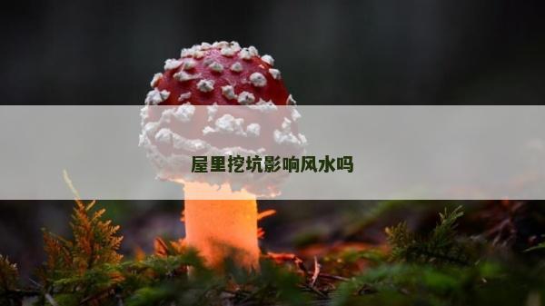 屋里挖坑影響風(fēng)水嗎
