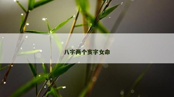 八字兩個亥字女命