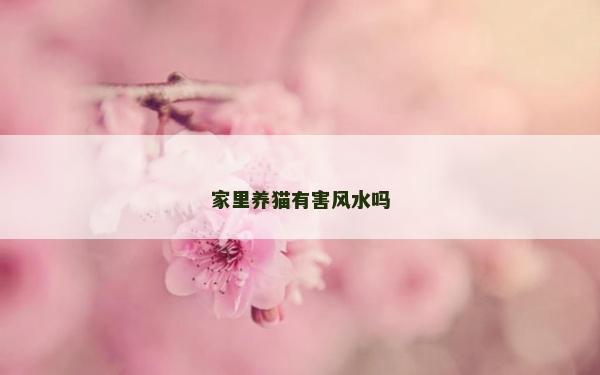 家里養貓有害風水嗎 家里養貓有害風水嗎