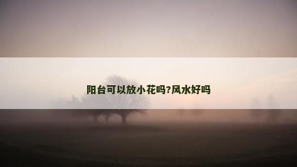 陽臺可以放小花嗎?風水好嗎