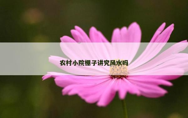 農村小院棚子講究風水嗎