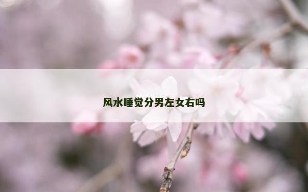 風水睡覺分男左女右嗎