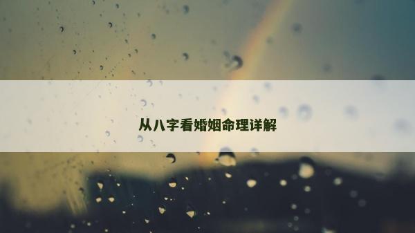 從八字看婚姻命理詳解 從八字看婚姻命理詳解