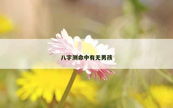 八字測命中有無男孩