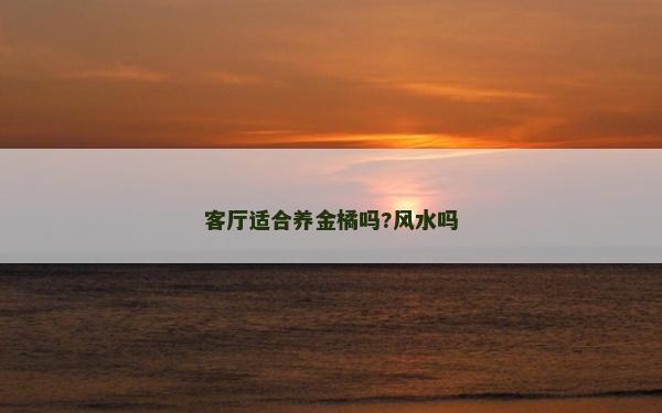 客廳適合養金橘嗎?風水嗎