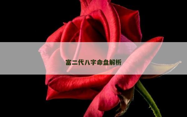 富二代八字命盤(pán)解析