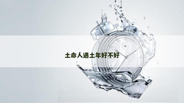 土命人遇土年好不好