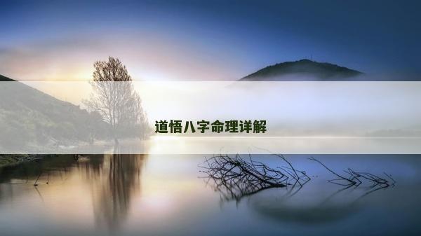 道悟八字命理詳解