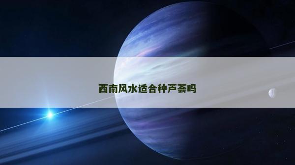 西南風水適合種蘆薈嗎
