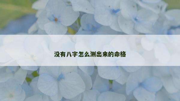 沒有八字怎么測出來的命格