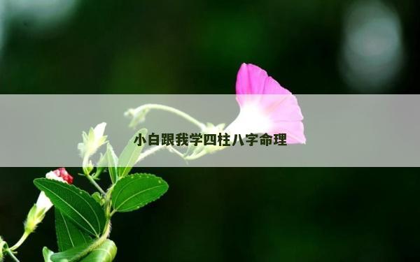 小白跟我學四柱八字命理