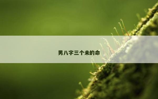 男八字三個未的命