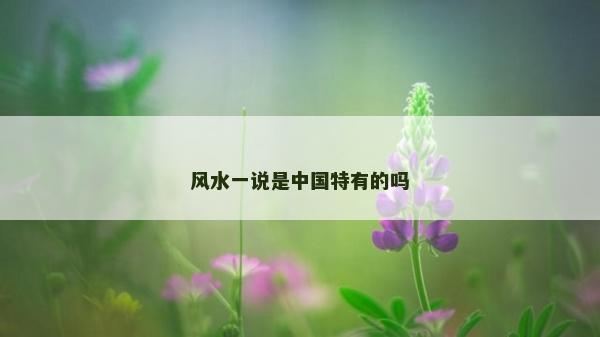 風水一說是中國特有的嗎
