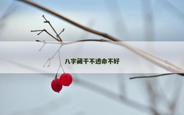 八字藏干不透命不好