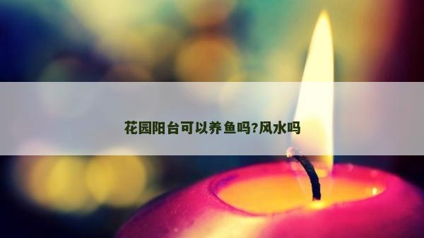 花園陽臺可以養(yǎng)魚嗎?風(fēng)水嗎