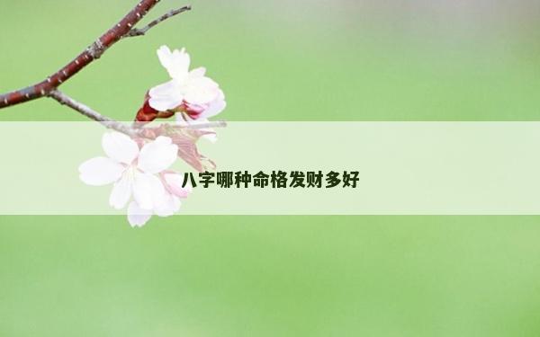 八字哪種命格發財多好