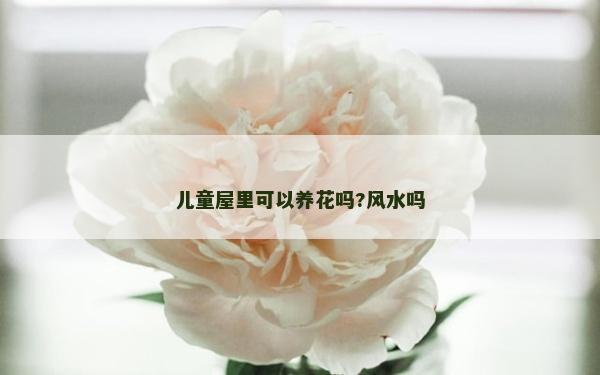 兒童屋里可以養花嗎?風水嗎 兒童屋里可以養花嗎?風水嗎