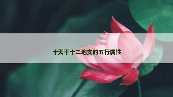 十天干十二地支的五行屬性