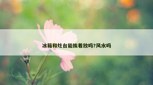 冰箱和灶臺能挨著放嗎?風(fēng)水嗎 冰箱和灶臺能挨著放嗎?風(fēng)水嗎