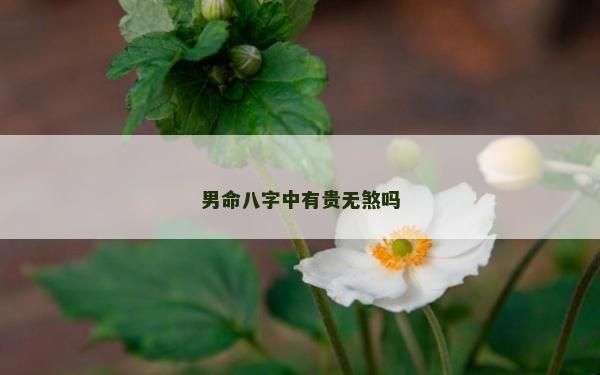 男命八字中有貴無煞嗎 男命八字中有貴無煞嗎