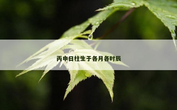 丙申日柱生于各月各時辰 丙申日柱生于各月各時辰