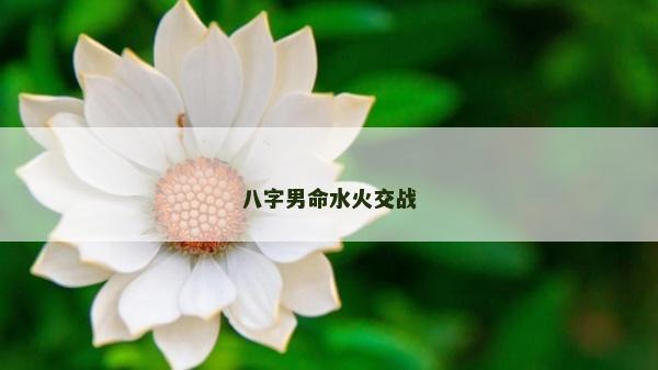 八字男命水火交戰