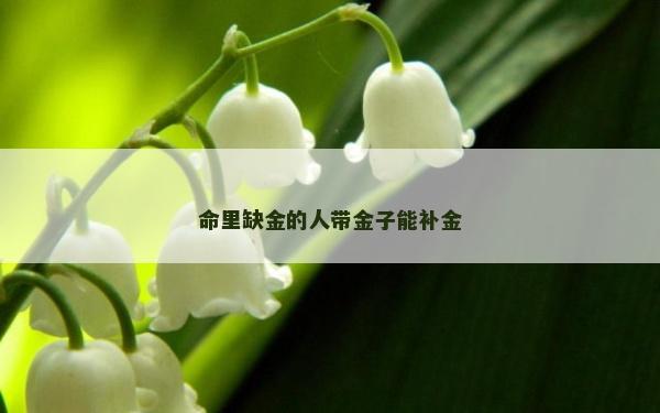 命里缺金的人帶金子能補金