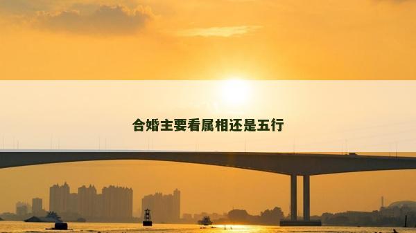 合婚主要看屬相還是五行