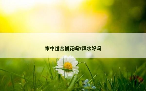 家中適合插花嗎?風(fēng)水好嗎 家中適合插花嗎?風(fēng)水好嗎