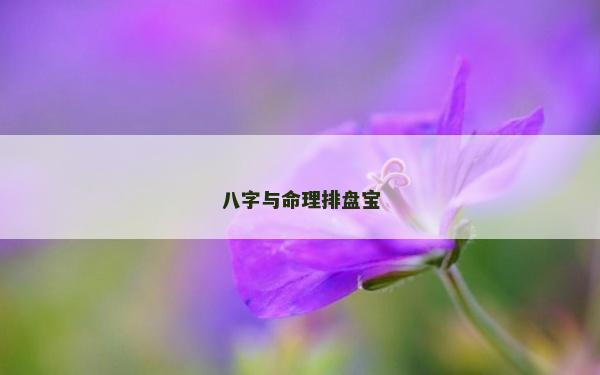 八字與命理排盤寶