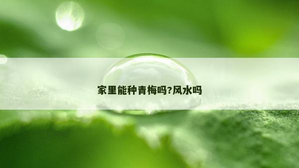 家里能種青梅嗎?風(fēng)水嗎