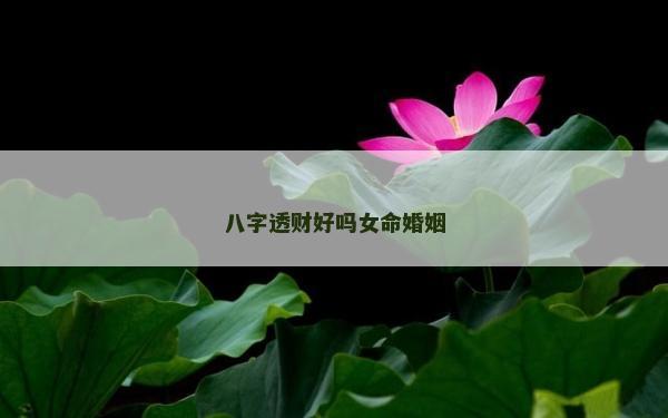 八字透財(cái)好嗎女命婚姻