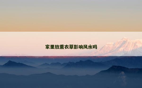 家里放熏衣草影響風水嗎