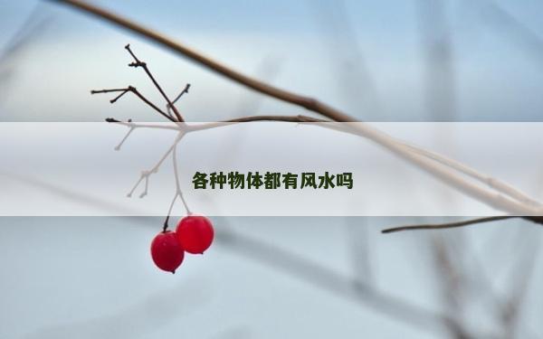 各種物體都有風水嗎