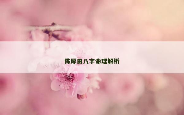 陳厚田八字命理解析