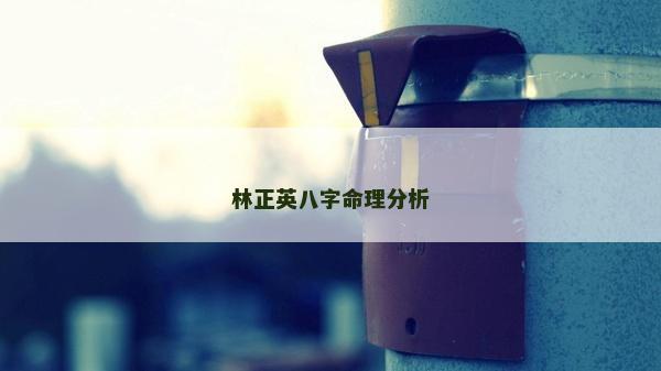 林正英八字命理分析 林正英八字命理分析
