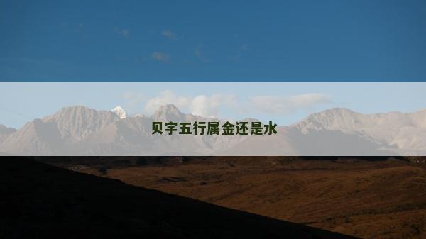 貝字五行屬金還是水