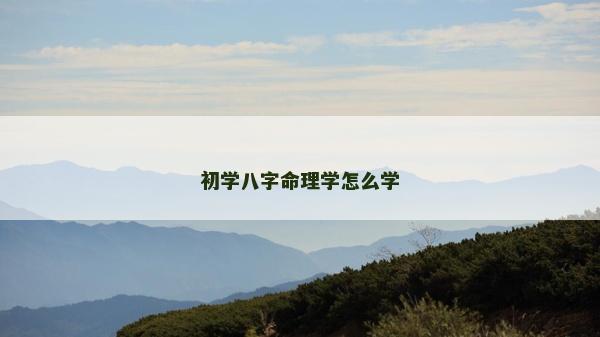 初學八字命理學怎么學