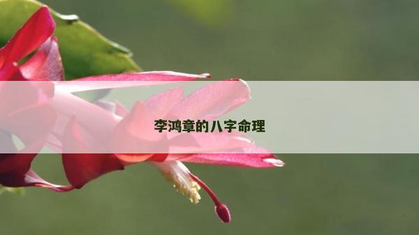 李鴻章的八字命理