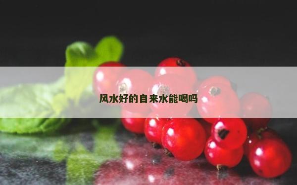風水好的自來水能喝嗎