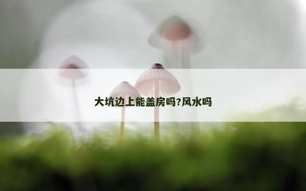 大坑邊上能蓋房嗎?風水嗎