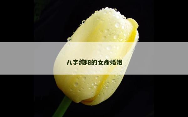 八字純陽的女命婚姻